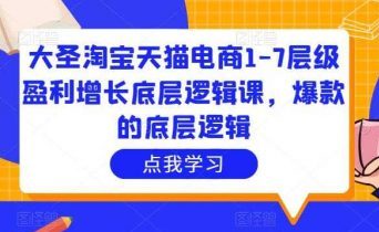 大圣淘宝天猫电商1-7层级盈利增长底层逻辑课，爆款的底层逻辑-课程网